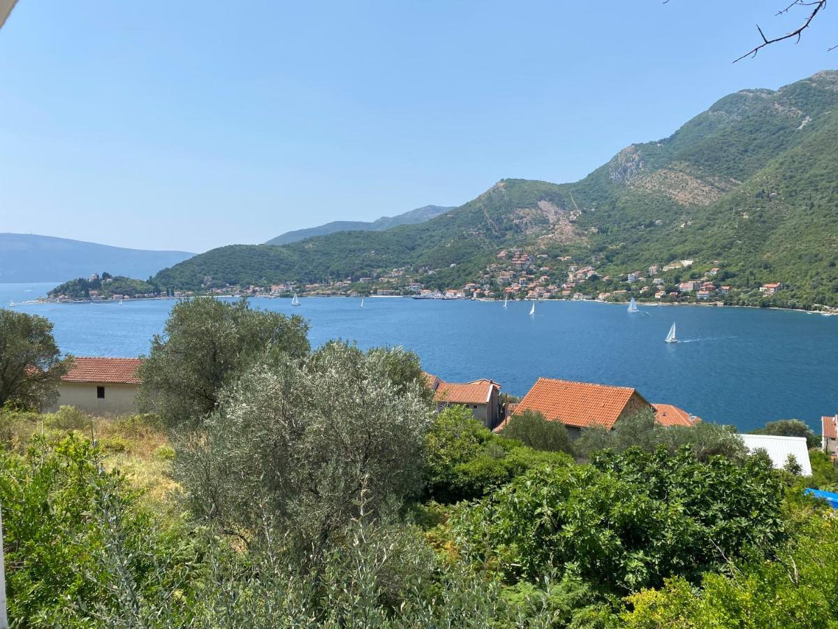 Apartman Irena Tivat Kültér fotó