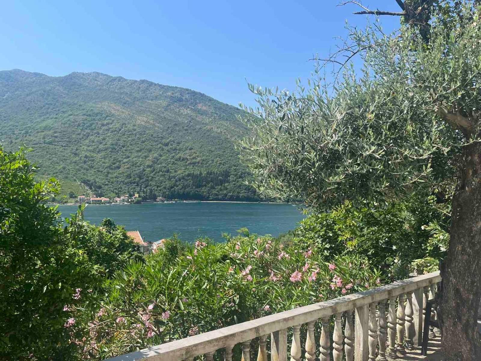 Apartman Irena Tivat Kültér fotó